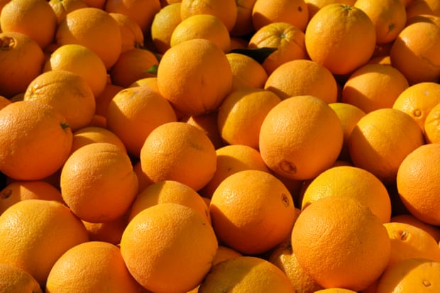 Navel oranges are good value for money at the moment, especially if you buy in bulk.