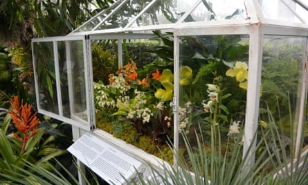 Wardian case full of orchids at the 2016 New York Botanic gardens orchid show