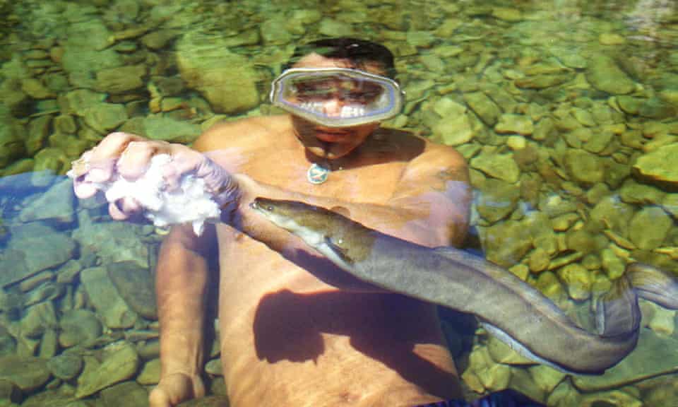 Man feeds an eel in the Matai river