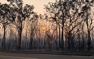 Burnt-out bushland