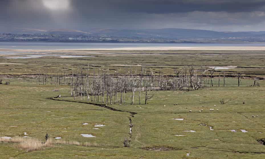 An aerial view of the salt marsh at Cwm Ivy