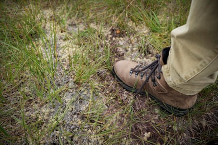 A person’s boot presses down on the dried-out moss to demonstrate the lack of water