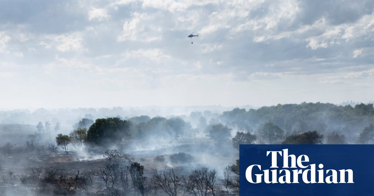 Calls to ban disposable barbecues in England and Wales over wildfire risk