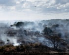 Calls to ban disposable barbecues in England and Wales over wildfire risk