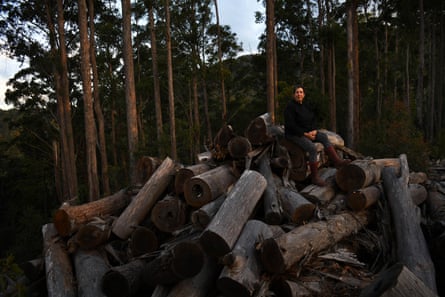 Susie Russell sits upon a log “ Dump’ in the Bulga Forest, left behind by loggers
