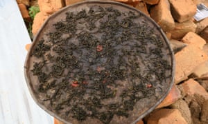 The meal of dried bean leaves with a tomato prepared by 83-year-old Rosa Mastindi in Mbavari - the only crop she has been able to grow