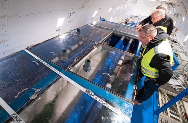 One of the whales is inspected inside a tank before it is unloaded from an aircraft at Keflavík airport in Iceland.