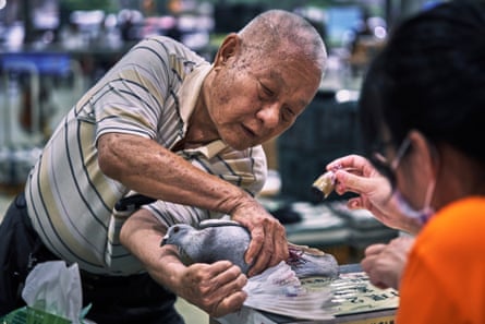 Chen Bi-chou, 81, checking a pigeon into the summer race