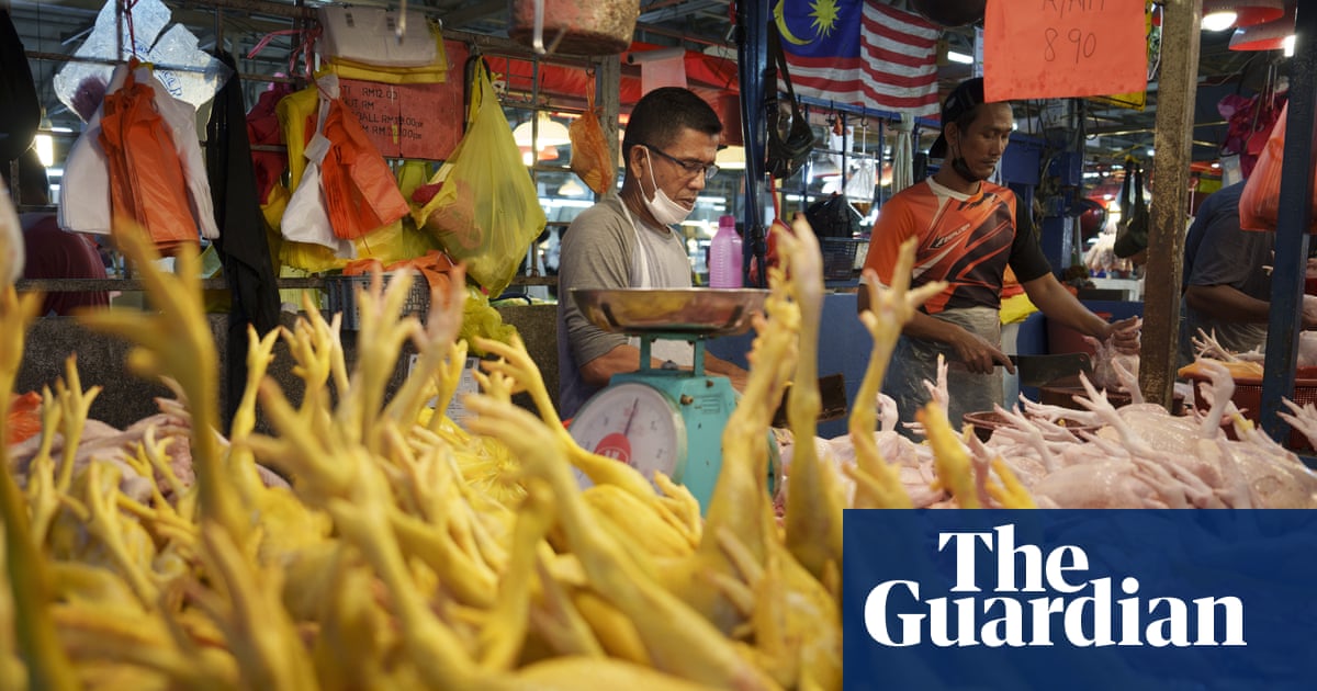‘Like McDonald’s with no burgers’: Singapore faces chicken shortage as Malaysia bans export