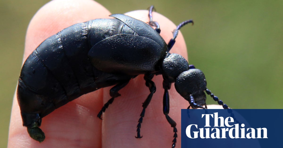 3000.jpg?width=1200&height=630&quality=8