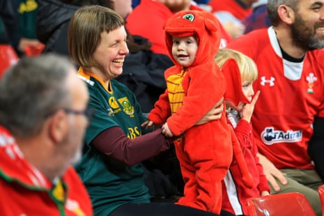 Young Wales fan dressed up for the game in dragon costume.