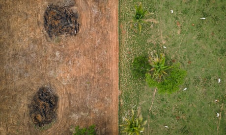 Deforested land in Brazil