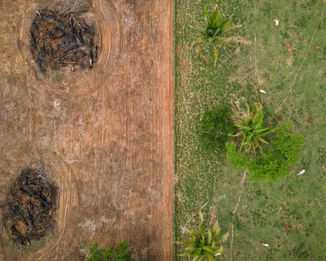 Deforested land in Brazil