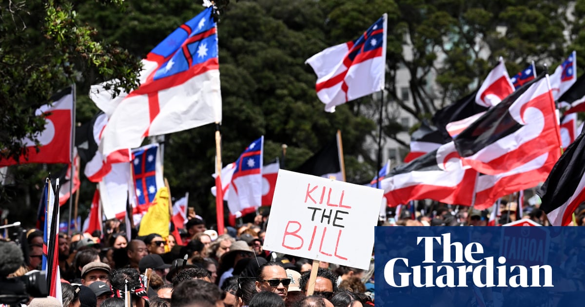 New Zealand Parliament Rejects Controversial Treaty Principles Bill Amid Large Protests