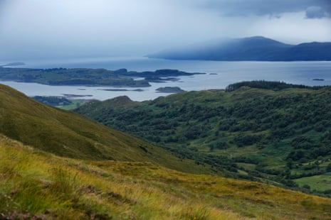 A view from a steep hillside out over the water.