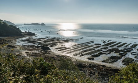 Oyster beds at Cancale, Brittany.
