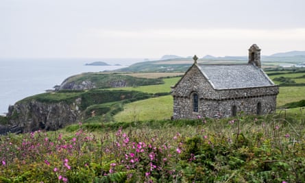Pink flowers and St Non’s Chapel and Holy Well, St Davids, Wales