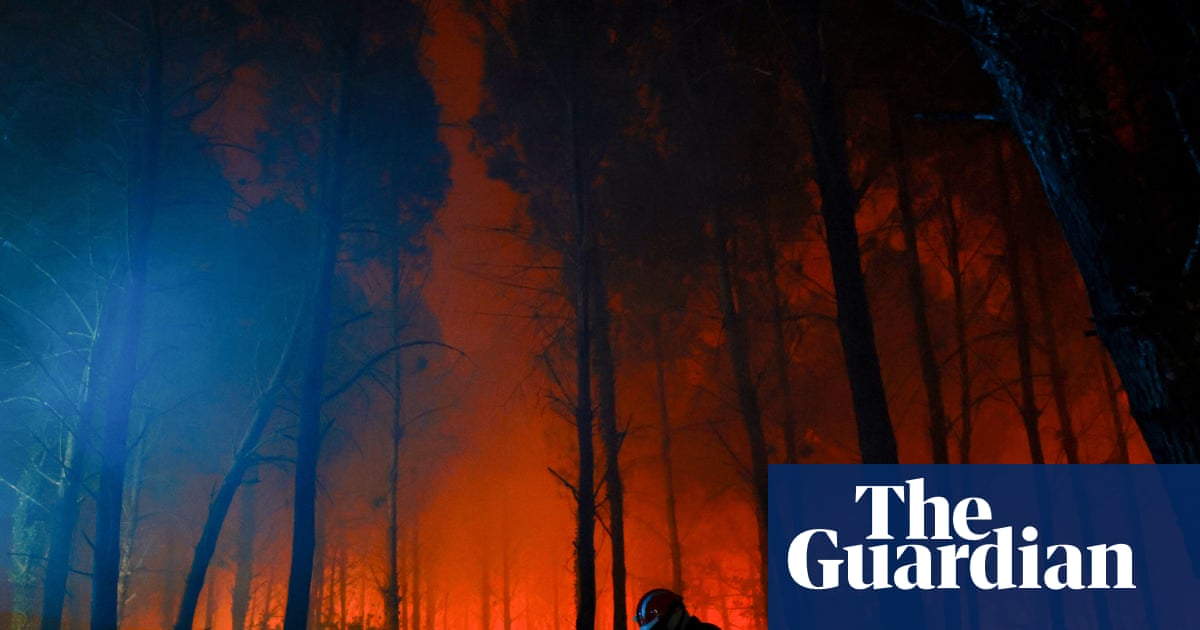 Almost 500 arrested on suspicion of starting wildfires in France this summer