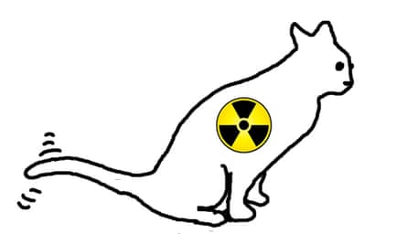 Chu Chu, First Dog on the Moon’s radioactive cat.