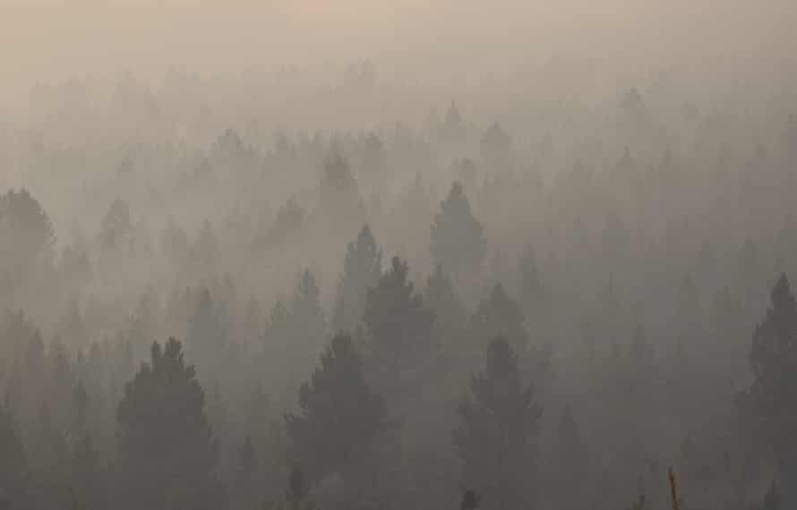 A wildfire in early August obscures a stand of trees on the Northern Cheyenne Indian Reservation, near Ashland, Montana.