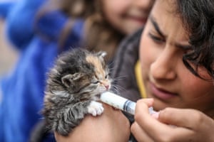 Hatay, Turkey: a girl feeds a newborn kitten found under the rubble after recent earthquakes hit the region