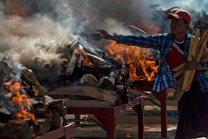A man in Naypyidaw, Myanmar, adds wood to the fire as elephant tusks are burned during a ceremony to destroy confiscated wildlife parts