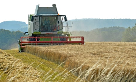 a combine harvester traverses a field of wheat