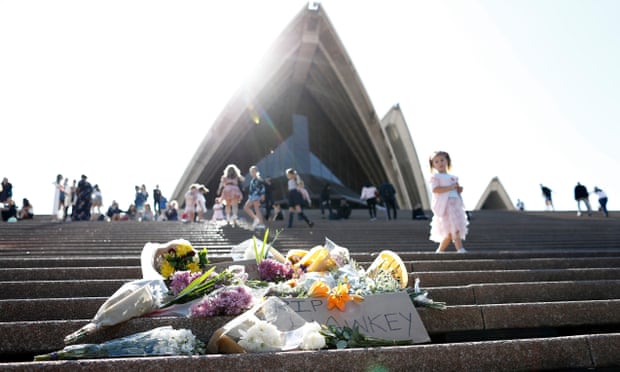 Flowers and a glass of beer left on the steps of the Sydney Opera House in tribute to Bob Hawke