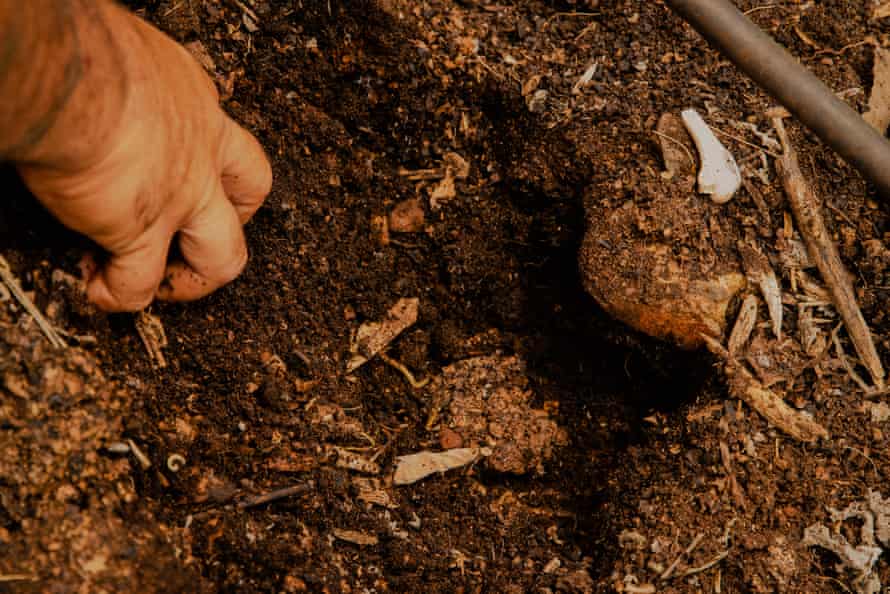 A hand digs into moist brown soil.