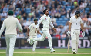 Mohammad Amir celebrates after dismissing Dawid Malan.ages)