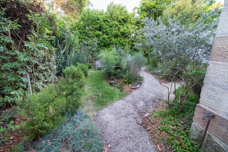 A wild garden