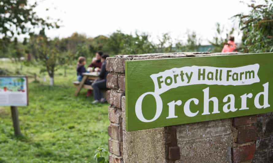 Cuarenta granja interior