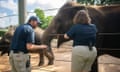 Two zoo workers stand next to an enclosure with two elephants in it