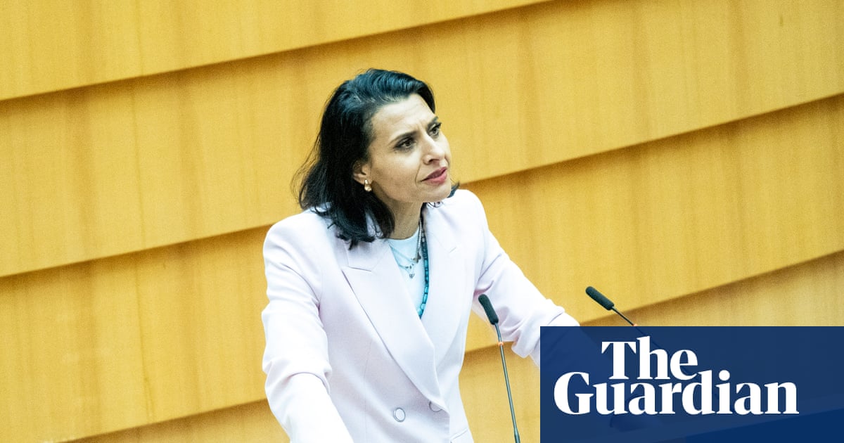 Swedish MEP files police complaint accusing Danish colleague of racist hate speech