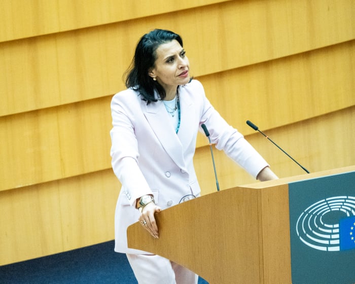 Swedish MEP files police complaint accusing Danish colleague of racist hate speech