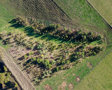 The same site now covered in trees
