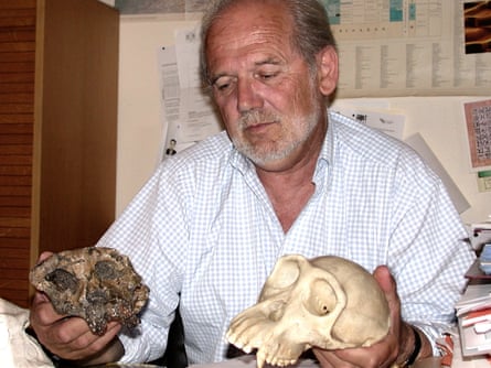 Brunet compares the skull of a chimpanze with the Toumaï skull, left, found in the Chad desert in central Africa.
