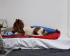 Abandoned pony grows his strength in fourth floor flat – video