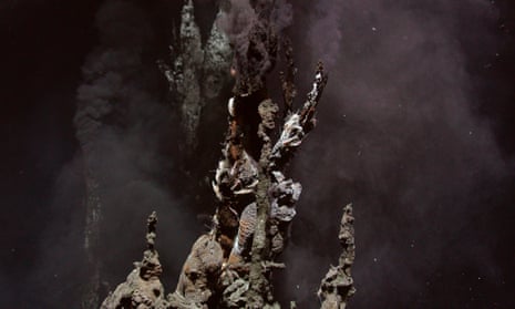 Hydrothermal vents in the Lau Basin, near Fiji.