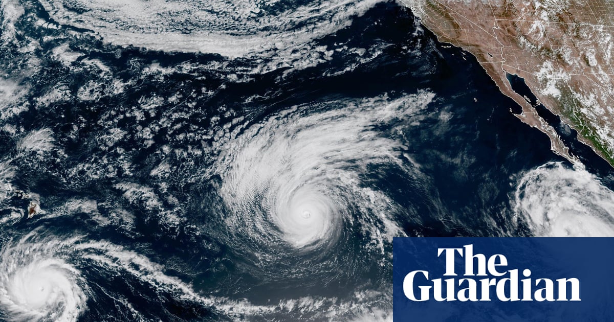Foto: Förhandsbild från källan: The Guardian
