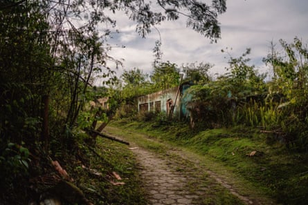 الأشجار والمنازل المهجورة في بلدية بينتو رودريغز؛  وقد دمرت المنازل بسبب الطين الناتج عن انهيار السد في عام 2015.