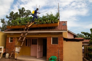 A rooftop farmer tends to his greenery in Kampala, Uganda