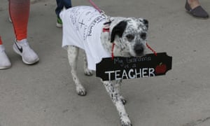 Support for the striking Oklahoma teachers comes in all shapes and sizes.