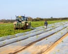Farmers in UK and US Face Rapid Fuel Price Surge Amid Global Supply Pressures