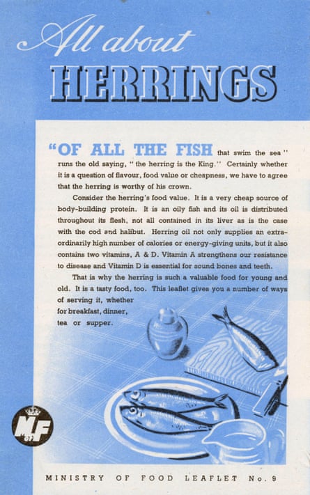 A leaflet about herring with the header ‘All about herrings’