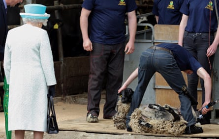 Queen Elizabeth watches a sheep being shorn at Myerscough College’s Lodge Farm in May 2015.