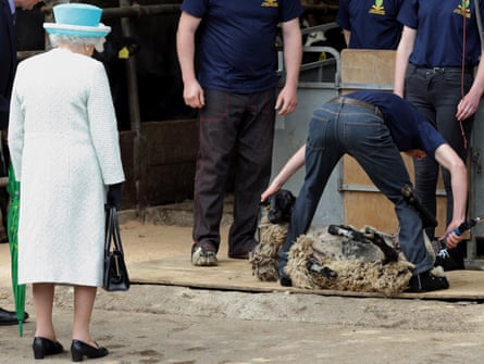 Queen Elizabeth, who was also the Duke of Lancaster, watches a sheep being shorn at Myerscough College’s Lodge Farm in May 2015.