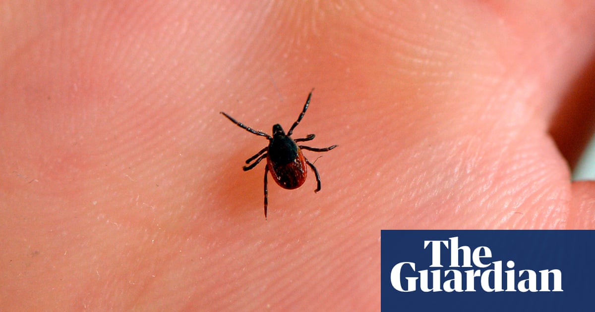 Disease-bearing ticks thrive as climate change heats up US - The Guardian