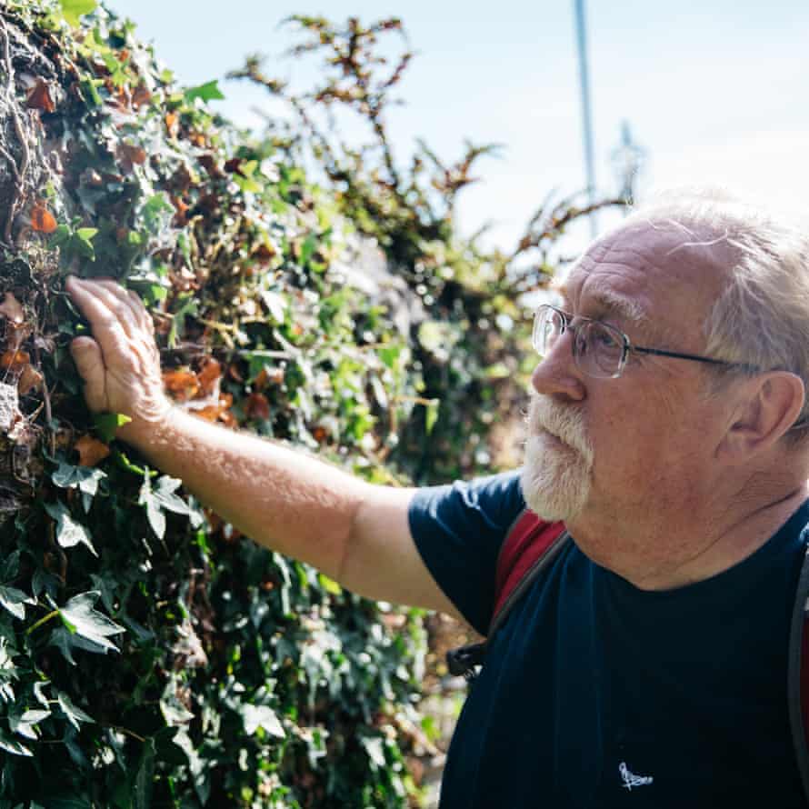 David Curry, who leads the Living Churchyards Project