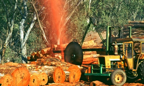 Logs being milled